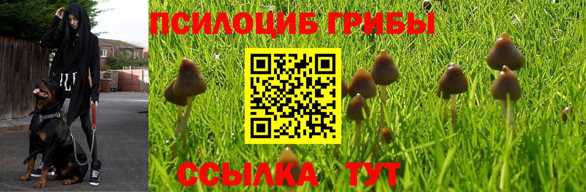 Лысьва  Галлюциногенные грибы MAGIC MUSHROOMS  Вход с VPN 